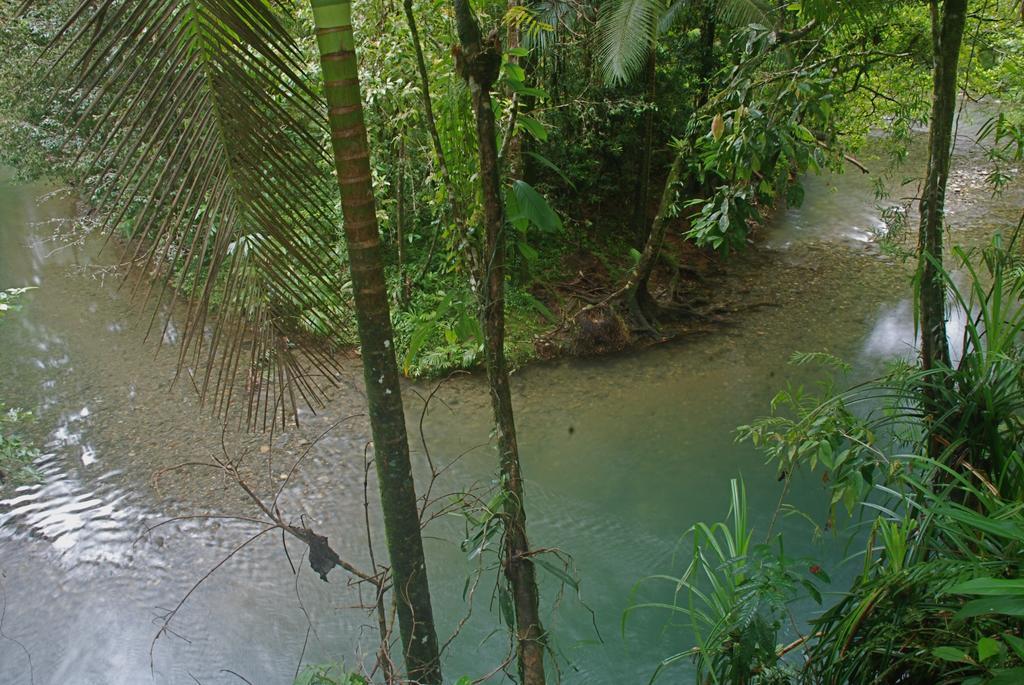 Heritage Lodge In The Daintree Cape Tribulation Exterior photo